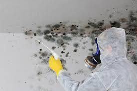 Best Mold Remediation for Healthcare Facilities  in Raytown, MO